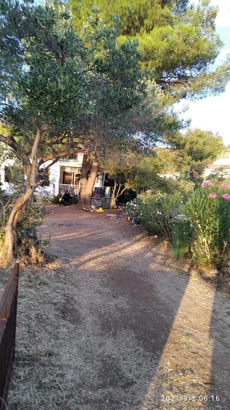 Raslina Sun Apartment מראה חיצוני תמונה