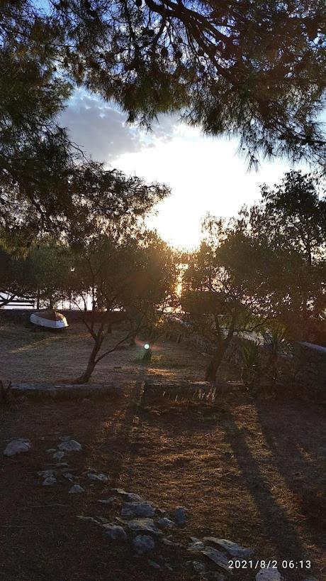 Raslina Sun Apartment מראה חיצוני תמונה